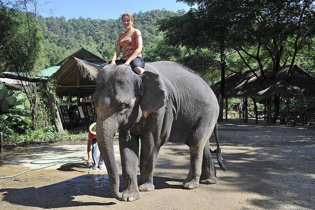 Volunteer in Thailand - Summer 2014